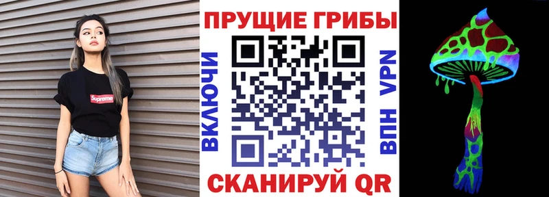 Псилоцибиновые грибы Magic Shrooms  Тайшет 